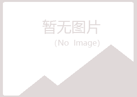 武陵源区夏岚冶炼有限公司